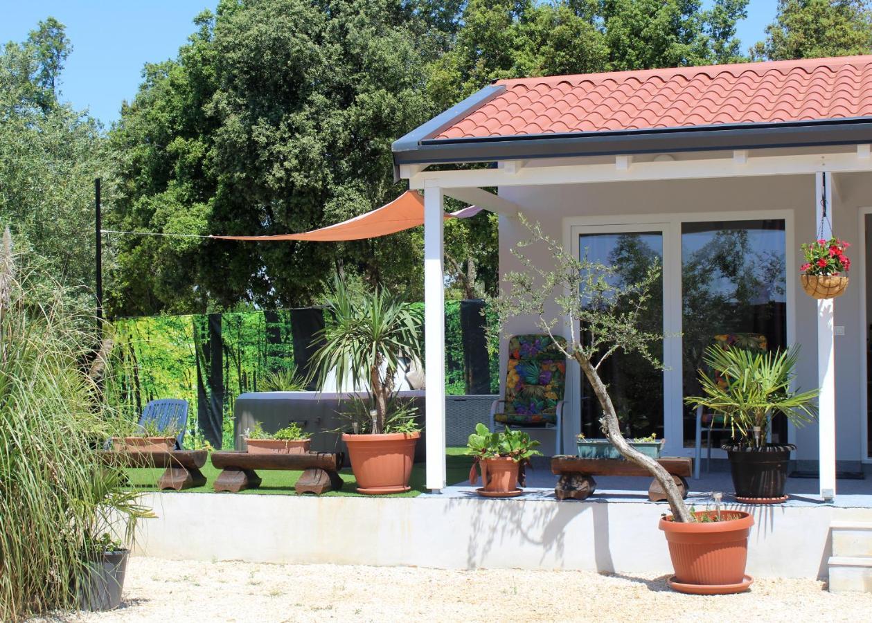 Oliven Garden Villa *