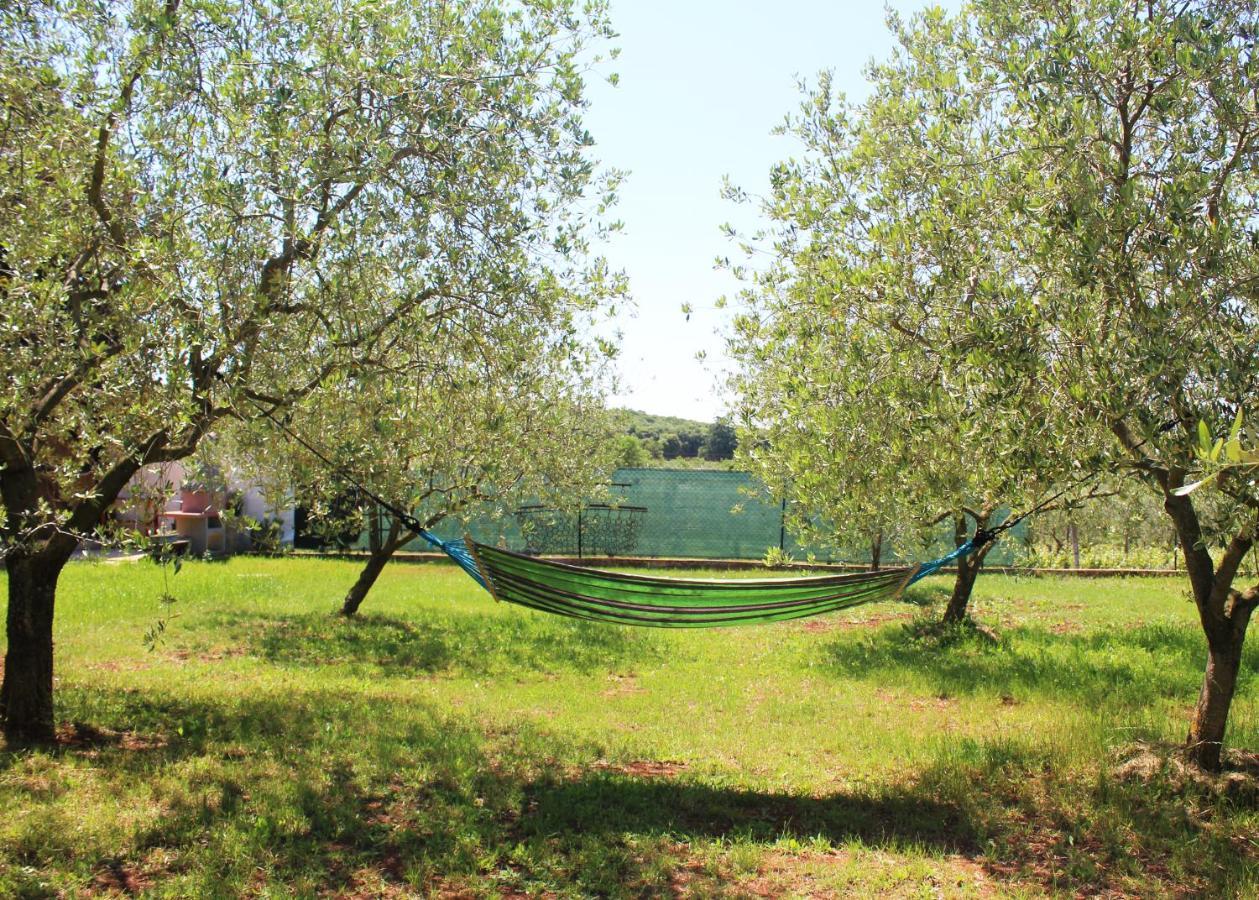 Oliven Garden *