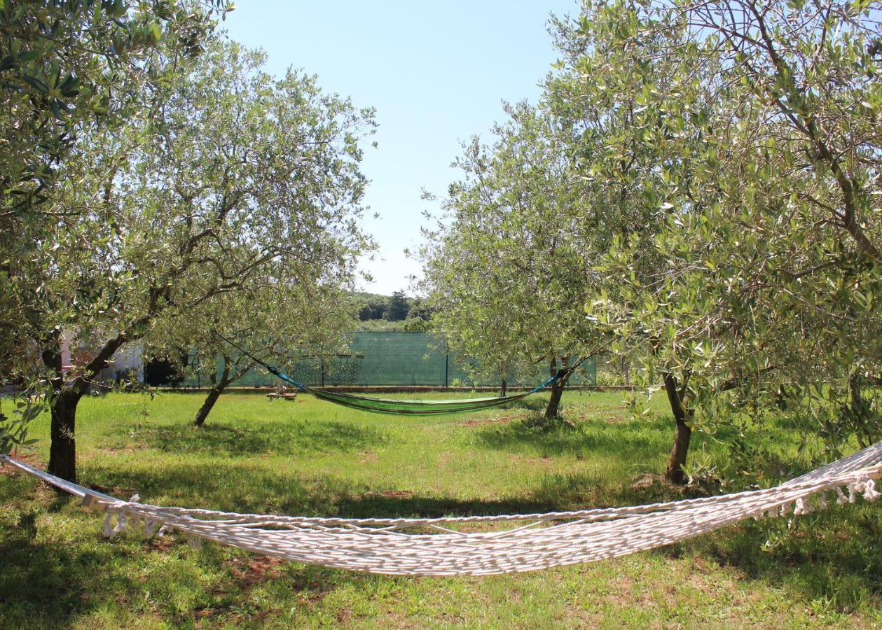 Oliven Garden