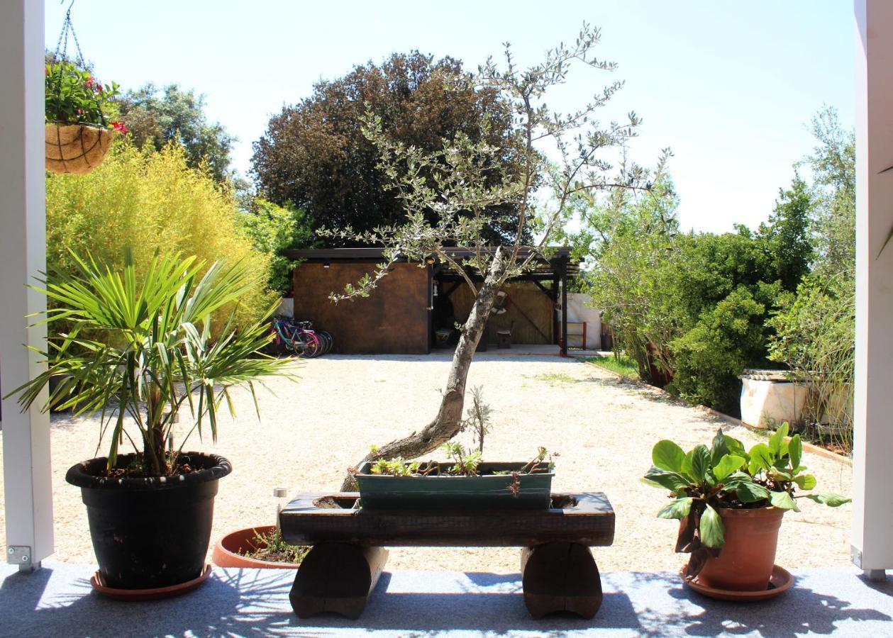 Oliven Garden *