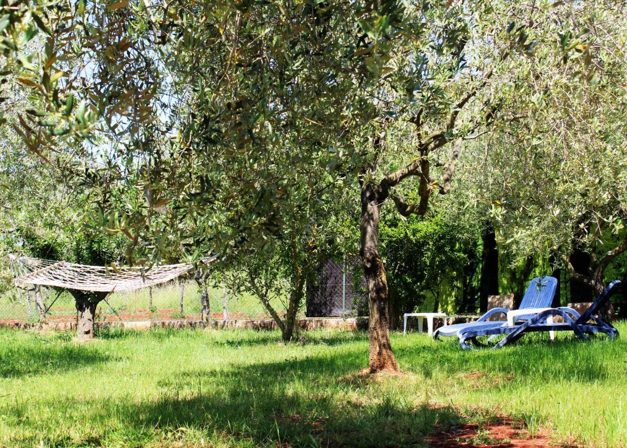 Oliven Garden *